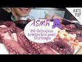 BIG ASMR : I ATE 20 OCTOPUS TENTACLES & SHRIMPS !!!!!!! wooooww