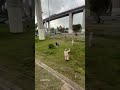 A un año de la tragedia, así luce el Puente de la Concordia