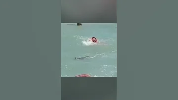 В Азербайджане тюлень напал на плавающих в море людей