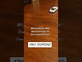 Luxury RC Car Model: The Perfect Christmas Gift for Enthusiasts #remotecontrolcar