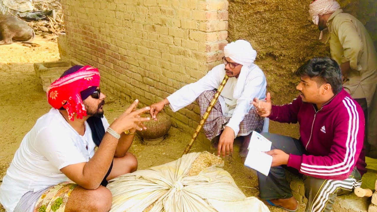 ਤੂੜੀ ਦੇ ਤੋਲ ਪਿੱਛੇ ਹੋਇਆ ਰੌਲਾ, 600 ਦਾ ਭਾਅ ਕਿਤੇ ਯਰ ਬੰਤ ਫਿਰ ਓਹੀ ਗੱਲ. .