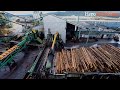 Inside an interfor sawmill  industries sawmill tour  wood working machine  logs to lumber