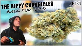 Back for Good - The Hippy Chronicles Podcast