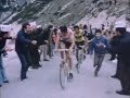 Eddy Merckx. The Greatest Show on Earth (1975)