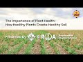 The importance of plant health  how healthy plants create healthy soil  aea and roa