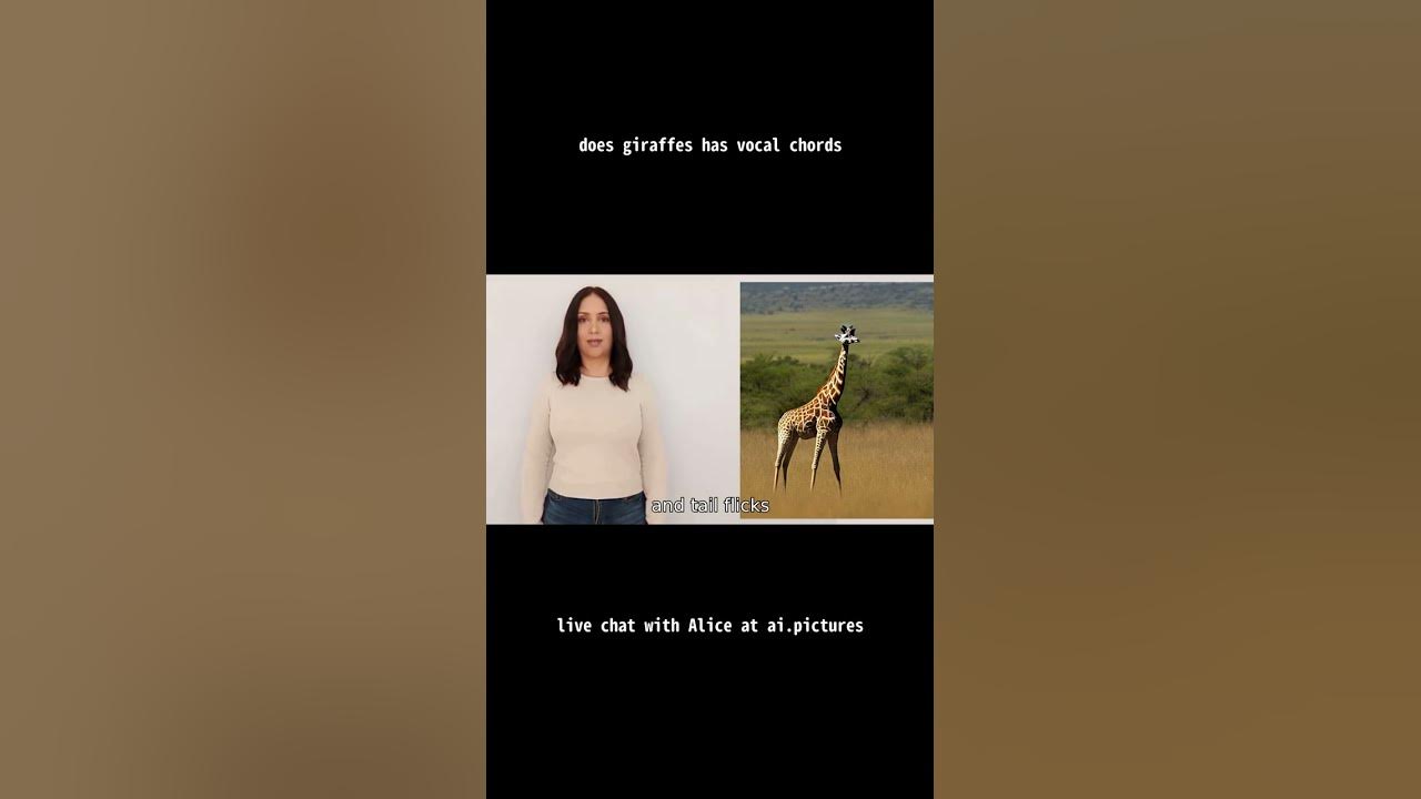 does giraffes has vocal chords - YouTube