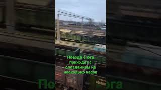 Пустые товарные вагоны. Где весь груз?🤔 #поезд #жд #товарный #рекомендации #ответ #топ #мысли