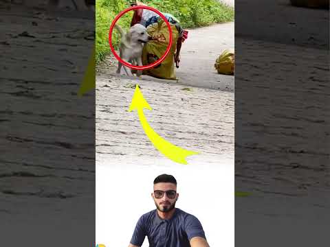 حين ينسى البشر الرحمة تذك ر أن الحيوانات ما زالت تملكها لايك متابعه ترند Shortvideo