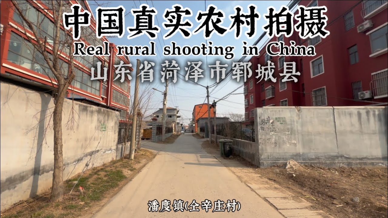 中國真實農村拍攝：山東省菏澤市鄆城縣潘度鎮（仝辛莊村）街拍Real rural shooting in China #街景 #街拍 #實錄 #農村生活 #中國 #真實中國 #特色中國 #真實農村 