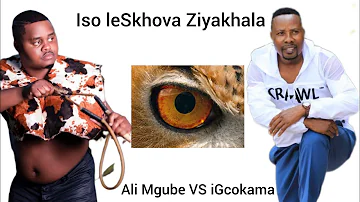 Uzikhalise buzombe Ali Mgube etalabha igcokama Elisha ngeke ukholwe lenkulumo imangaze abantu