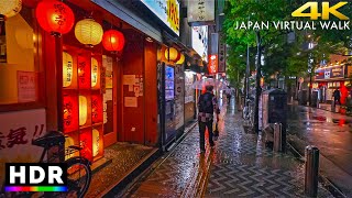 Japan Rainy Night Walk  Kanagawa to Tokyo • 4K HDR