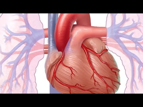 mayo-clinic-minute:-what-is-heart-disease?