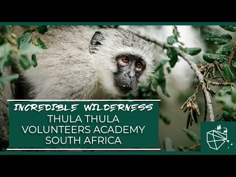 Video: Zuid-Afrika: Natuurreservaat Malolotzha