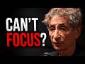 The Real Reason Your Brain Is Always Distracted – Dr. Gabor Maté