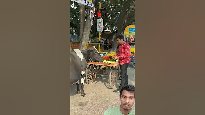 अंकल का सब्ज़ी गाय माता खा गई#humanity #respect #helping #trending#viralvideo #youtubeshorts
