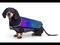 ✅ 8️⃣ Crazy Pet Toys & Gadgets जो बिलकुल ज़बरदस्त हैं