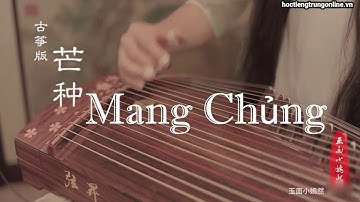 Mang Chủng - 芒种 - Bản hòa tấu đàn tranh