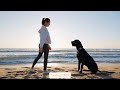 How to Train Your Dog to Stop Barking Excessively – Enjoy Peaceful, Happy Days with Your Pet