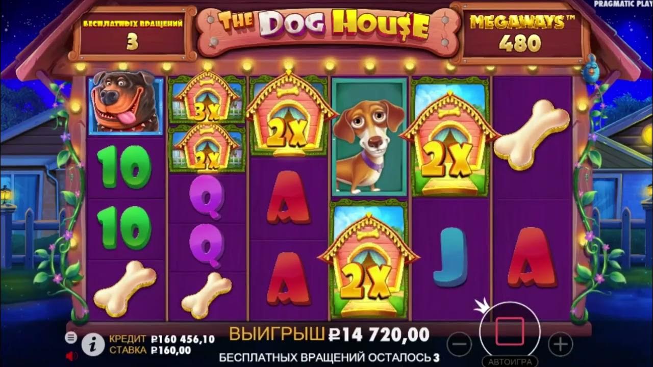 Dog house слот dogs house net