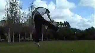 Angel Castellanos sampler 1