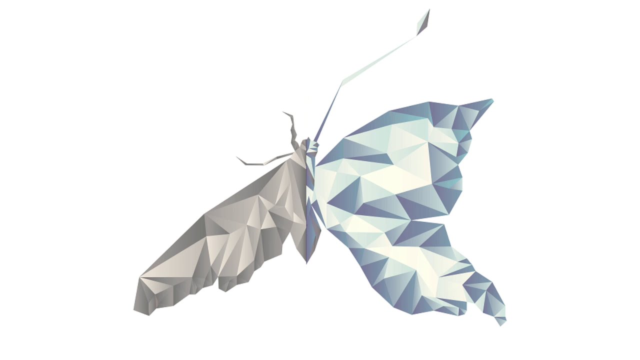 OKNA - SKIW/ Iwona Pęksa/ Marcin Skipiała