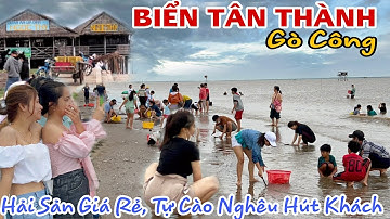 BIỂN TÂN THÀNH, GÒ CÔNG - Ngập Tràn Hải Sản Tươi Sống Giá Rẻ, Du Khách TỰ CÀO NGHÊU ĐÔNG NGHẸT|KPVL