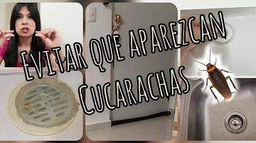 ¿Cómo evito que las cucarachas entren en mi dormitorio?