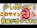 腎臓が正しく働いていないときに出やすい「体からのサイン」