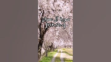#duet #اكسبلور #sheikhmansouralsalimi #دويتو #القرآن_الكريم #سورة_آل_عمران #تيك_توك #دعم #حالات_واتس