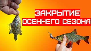 РЫБАЛКА 2021 | Закрытие сезона | красноперка еще клюет!