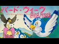 Bird week study game speedrun 106