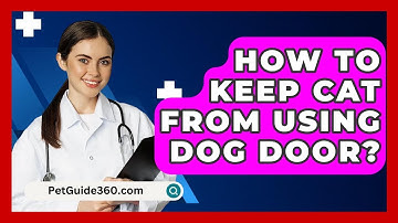 How To Keep Cat From Using Dog Door? - PetGuide360.com
