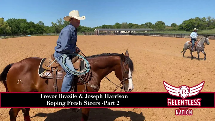 Trevor Brazile and Joseph Harrison Roping Fresh Ca...