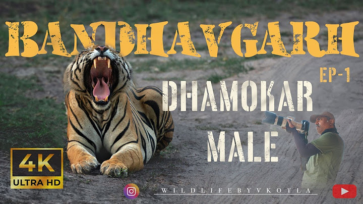 Bandhavgarh | Dhamokar Male | Episode-1 | Wildlife By VKotla