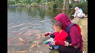 Download lagu Kasih makan ikan di kolam sai habis satu bungkus besar Ikannya makannya lahap Kasih makan ikan di kolam sai habis satu bungkus besar Ikannya makannya lahap