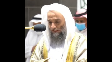 تلاوة مرئية سورة محمد الشيخ فيصل غزاوي