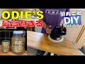 ODIE'S Oilは絶対使うべき！Vol 17