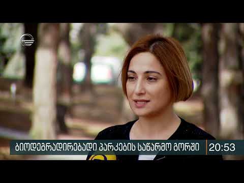 რამდენიმე დღეში გორში ბიოდეგრადირებადი პარკების საწარმო ამოქმედდება