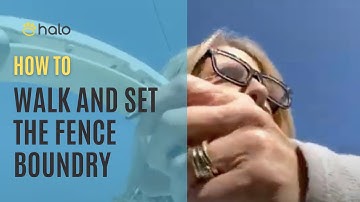 HOW to SETUP the Halo Collar Fence - Walking