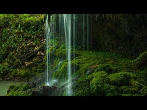 MIKI MO-შენ რომ ცხოვრობდე ზღვასთან