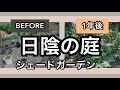 《ナチュラルガーデン》シェードガーデン日陰の庭2020年までの３年の軌跡