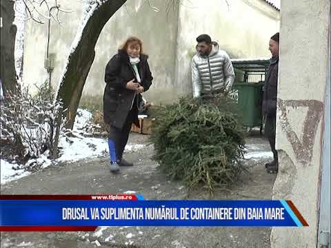 DRUSAL VA SUPLIMENTA NUMĂRUL DE CONTAINERE DIN BAIA MARE