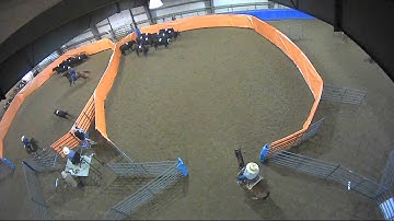 Big Sky Ranch Sorting Saddle Series #2 - Open H/C - Round #2 - Ride #8