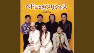 無口な夏