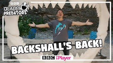 *HUGE NEWS* Steve Backshall is BACK on CBBC with NEW Deadly Predators! On BBC iPlayer Mon 11th April