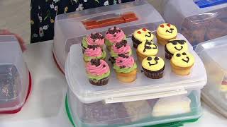 Lock & Lock 9x13 Cake Carrier with Deviled Egg & Cupcake Inserts on QVC 