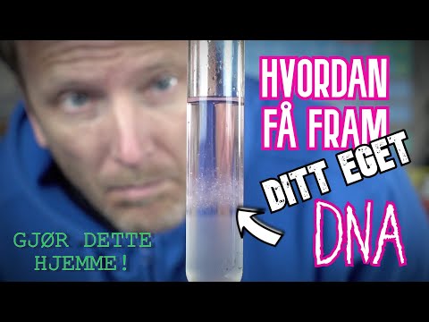 Video: Hva forårsaker lavt føtalt DNA?