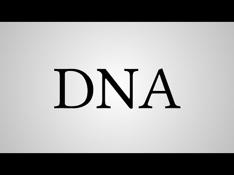 What Does Dna Stand For