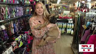 Destination Downtown: Northport