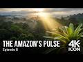 The Amazon's Pulse | Episode 8 | AI Wildlife Documentary | Algorithm's Eyes